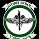 Sayeret Matkal logo