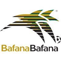 Bafana Bafana logo