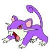 Rattata